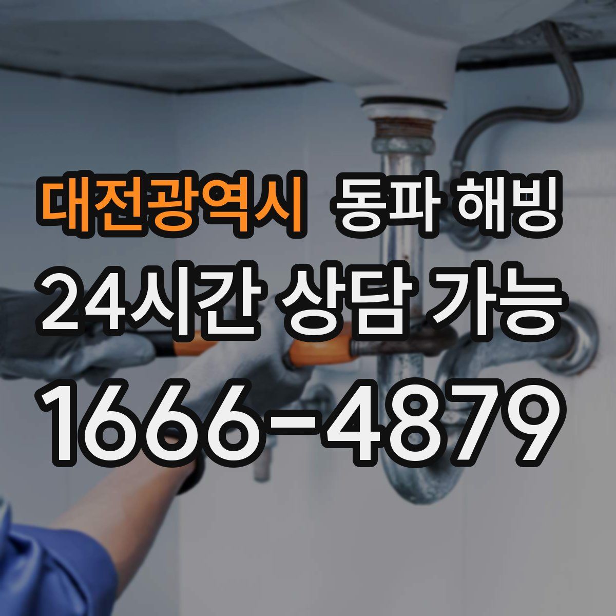 대전광역시 해빙