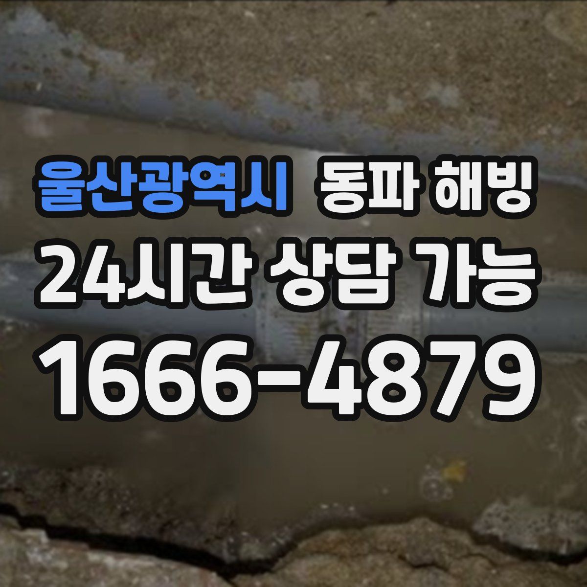 울산광역시 해빙