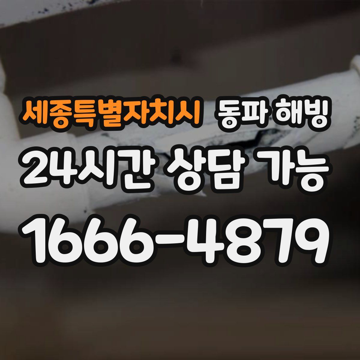세종특별자치시 해빙