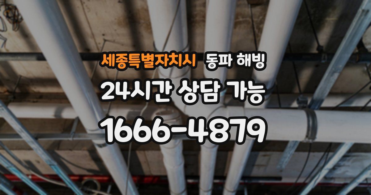 세종특별자치시 동파 해빙