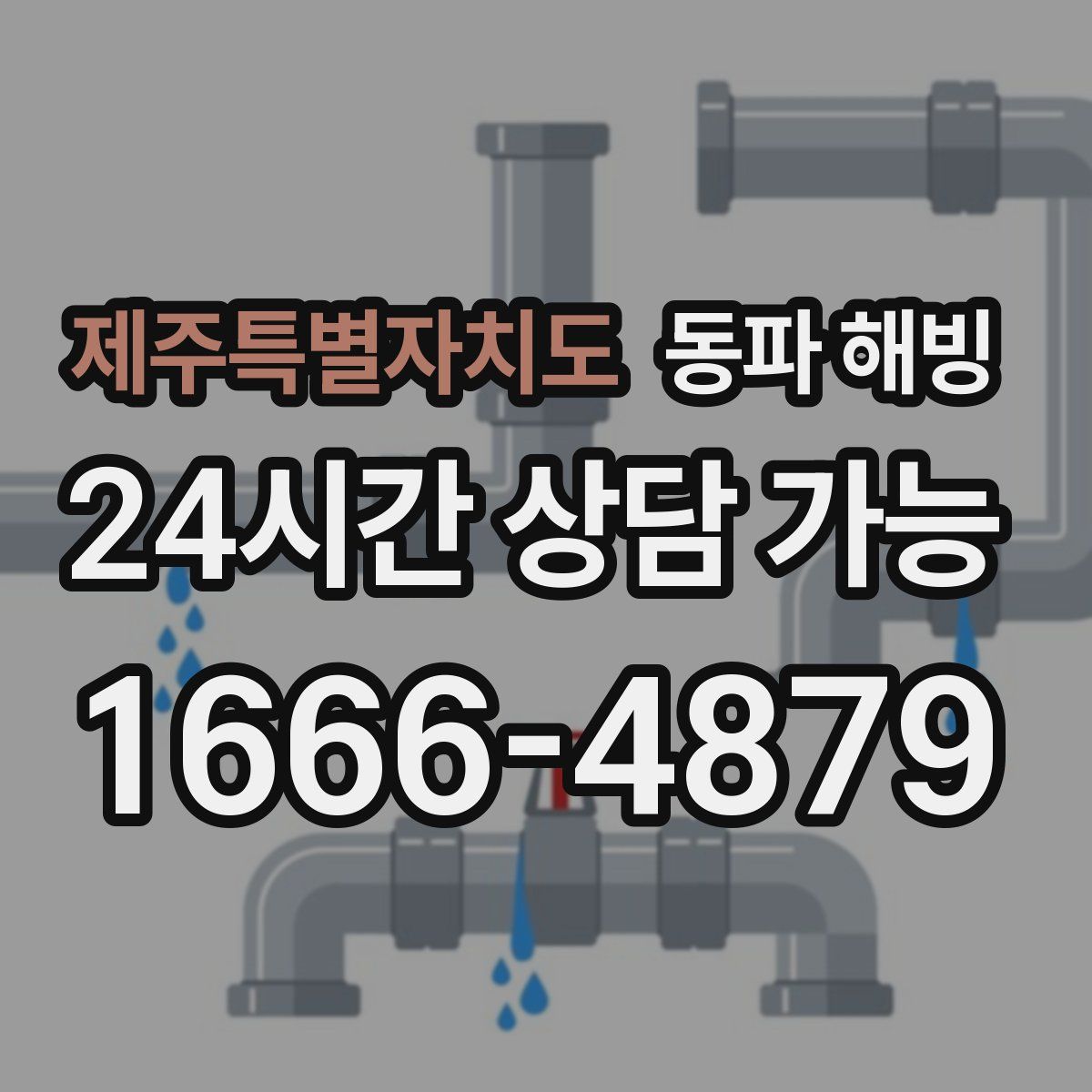 제주특별자치도 해빙