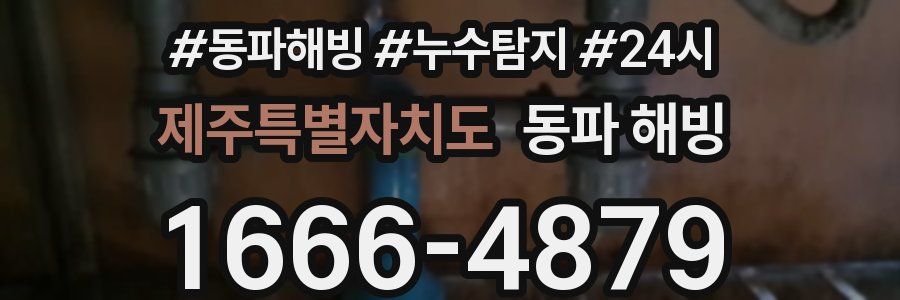 제주특별자치도 동파