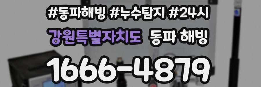 강원특별자치도 동파