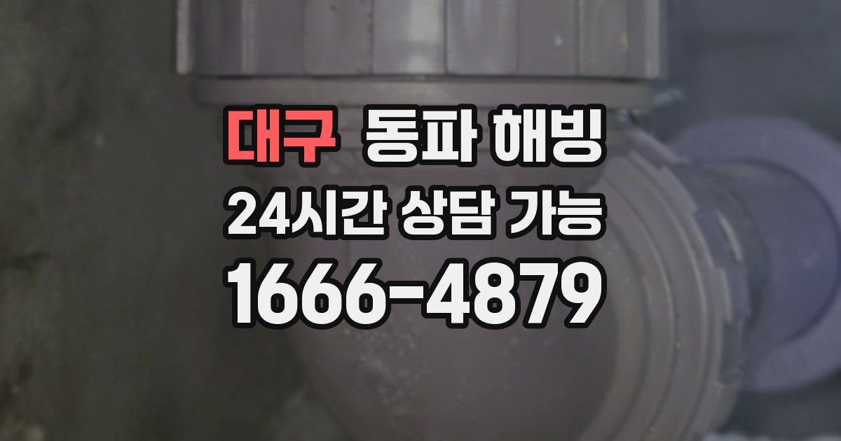 대구 동파 해빙