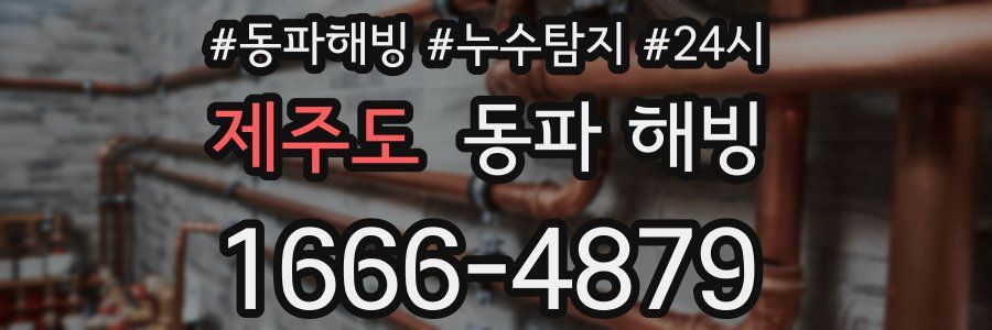 제주도 동파