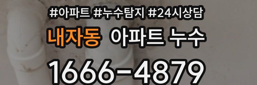 내자동 누수탐지