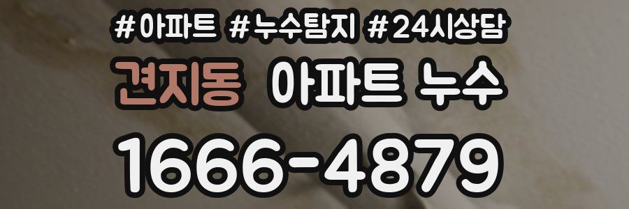 견지동 누수탐지