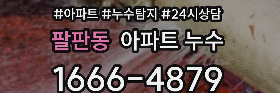 팔판동 누수탐지