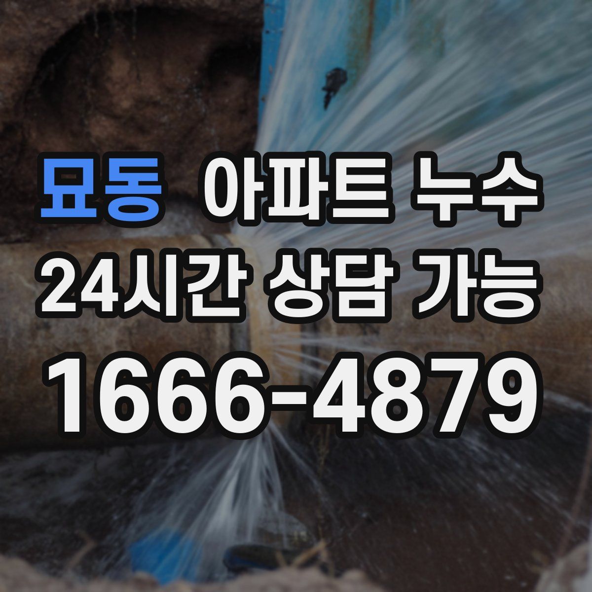 묘동 아파트 누수탐지