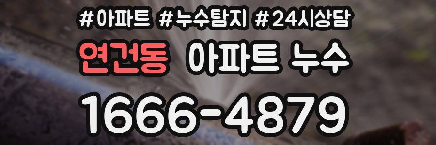 연건동 누수탐지