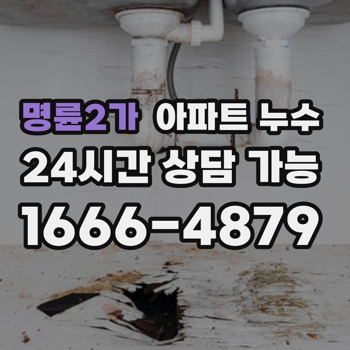 명륜2가 아파트 누수탐지