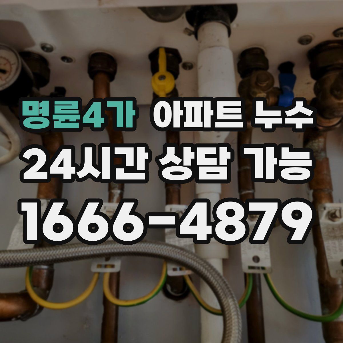 명륜4가 아파트 누수탐지