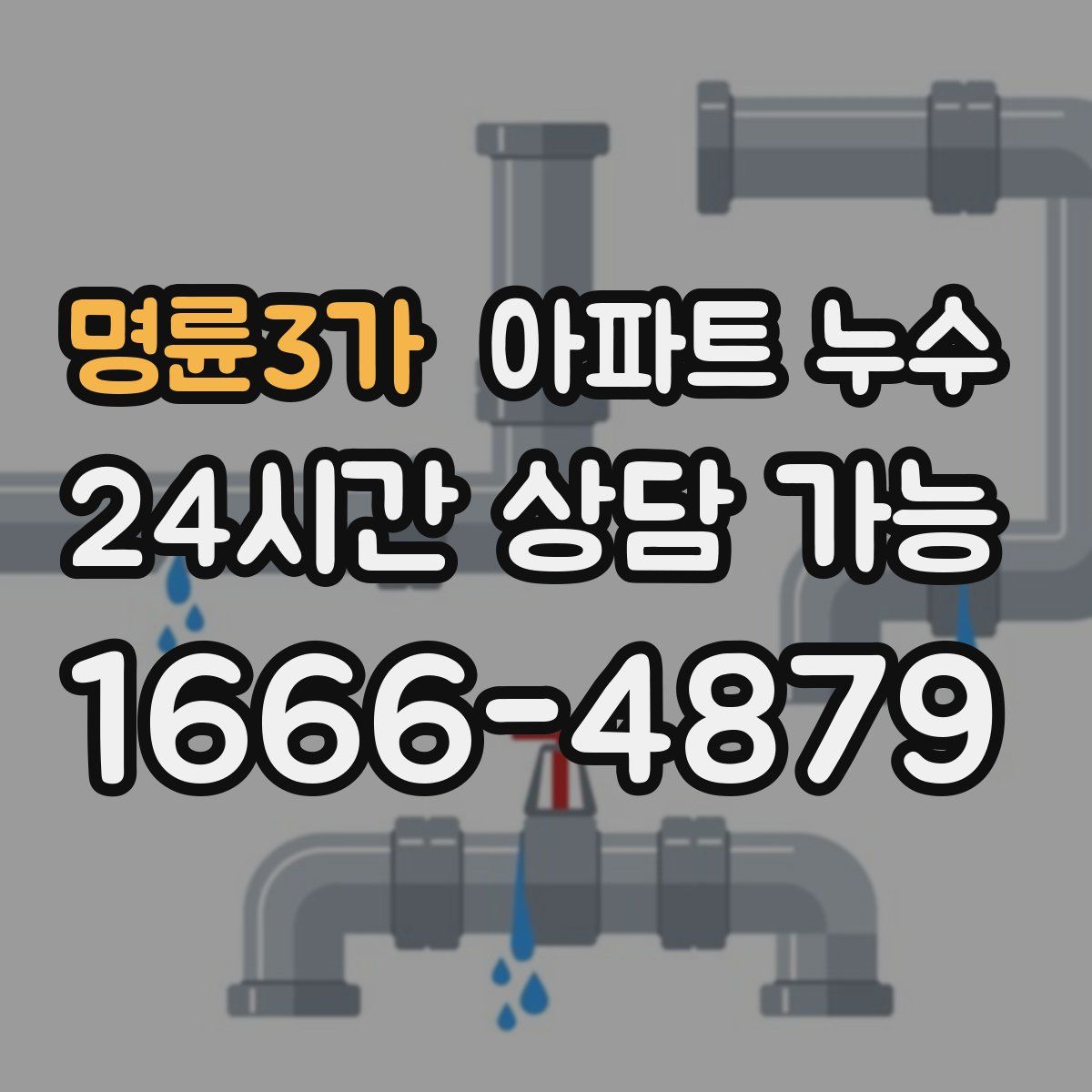 명륜3가 아파트 누수탐지