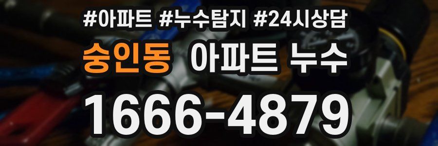 숭인동 누수탐지