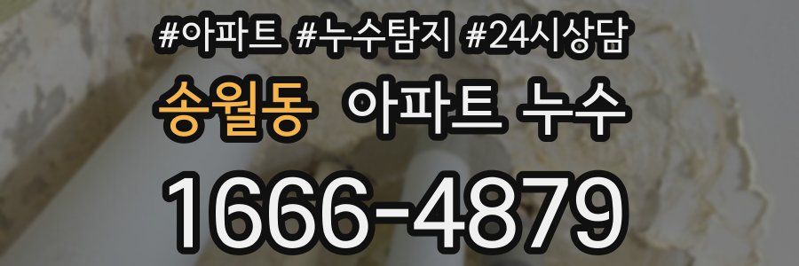 송월동 누수탐지