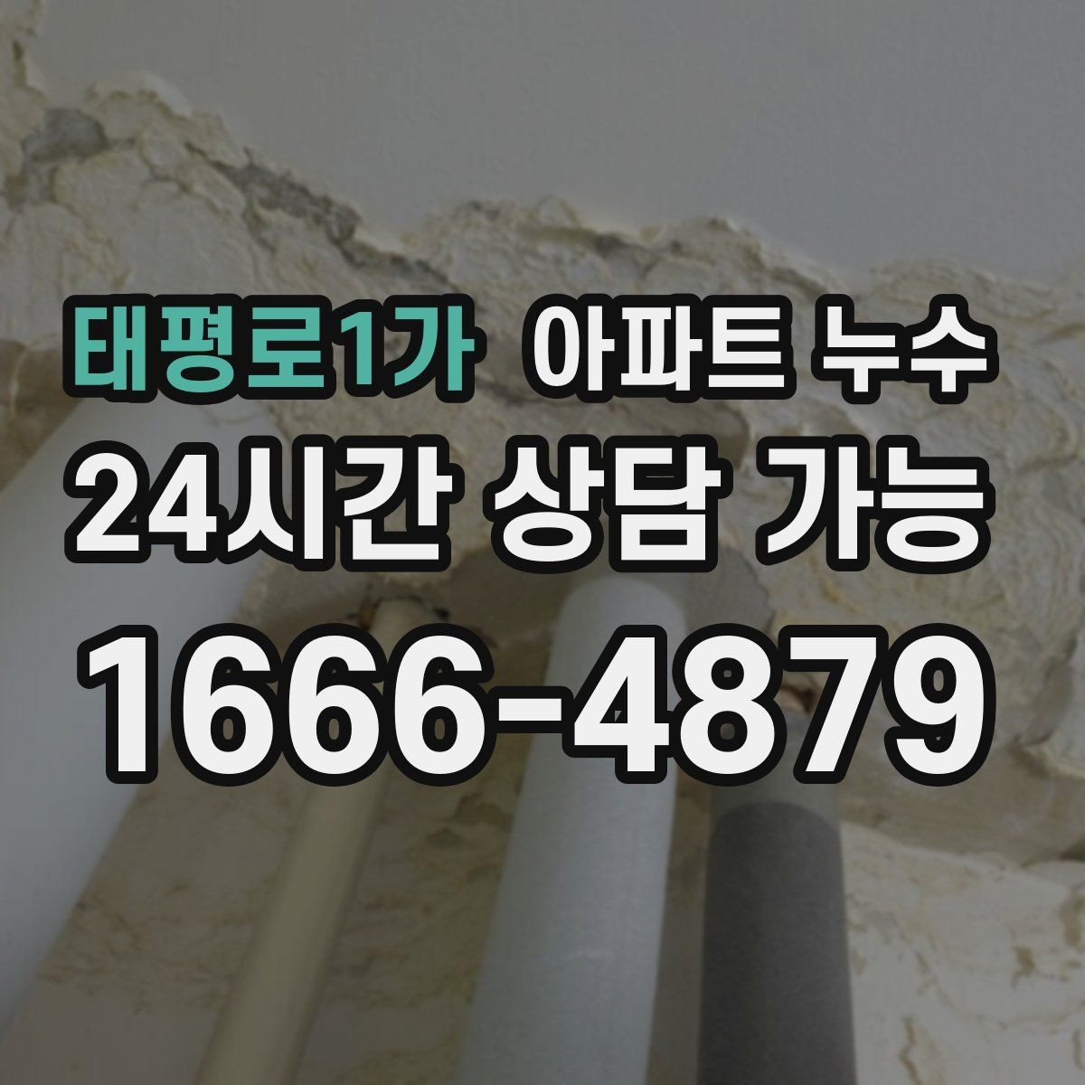 태평로1가 아파트 누수 벽 모서리 곰팡이 커지기 전 현장 체크