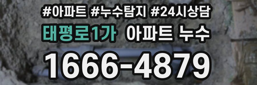 태평로1가 누수탐지