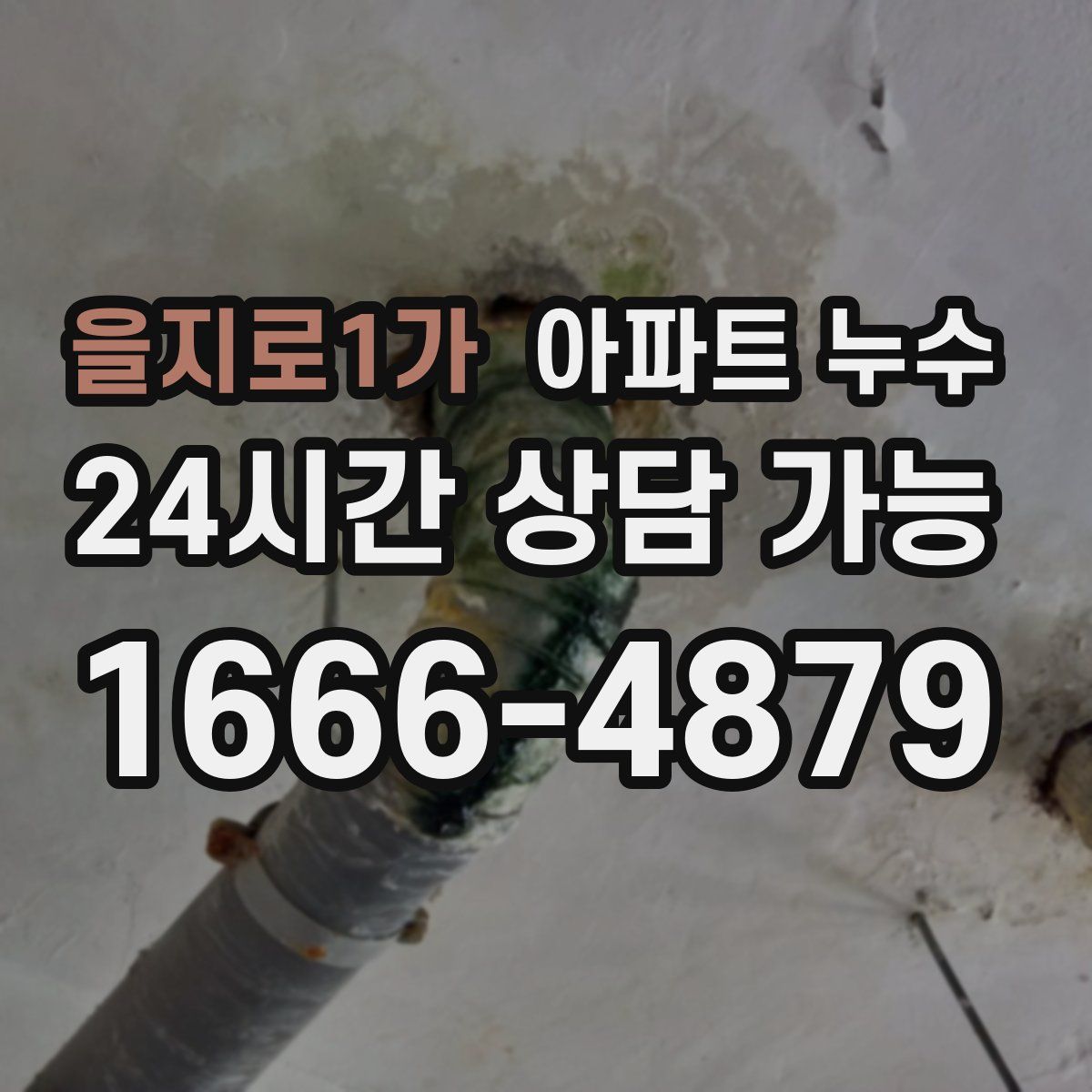 을지로1가 아파트 누수탐지