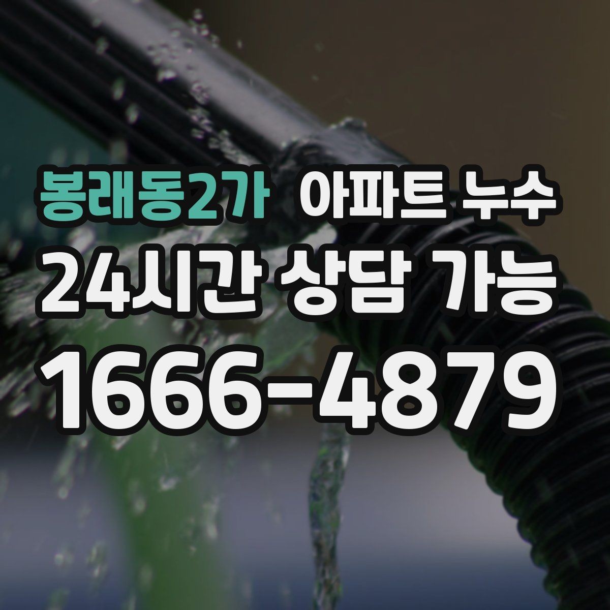 봉래동2가 아파트 누수 욕실 줄눈 젖음 방치하면 커지는 이유와 원인 확인