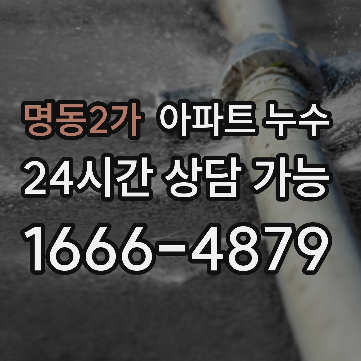 명동2가 아파트 누수 신발장 주변 습기 보이면 대응 요령부터 정리