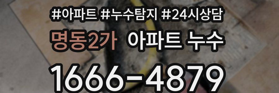 명동2가 누수탐지