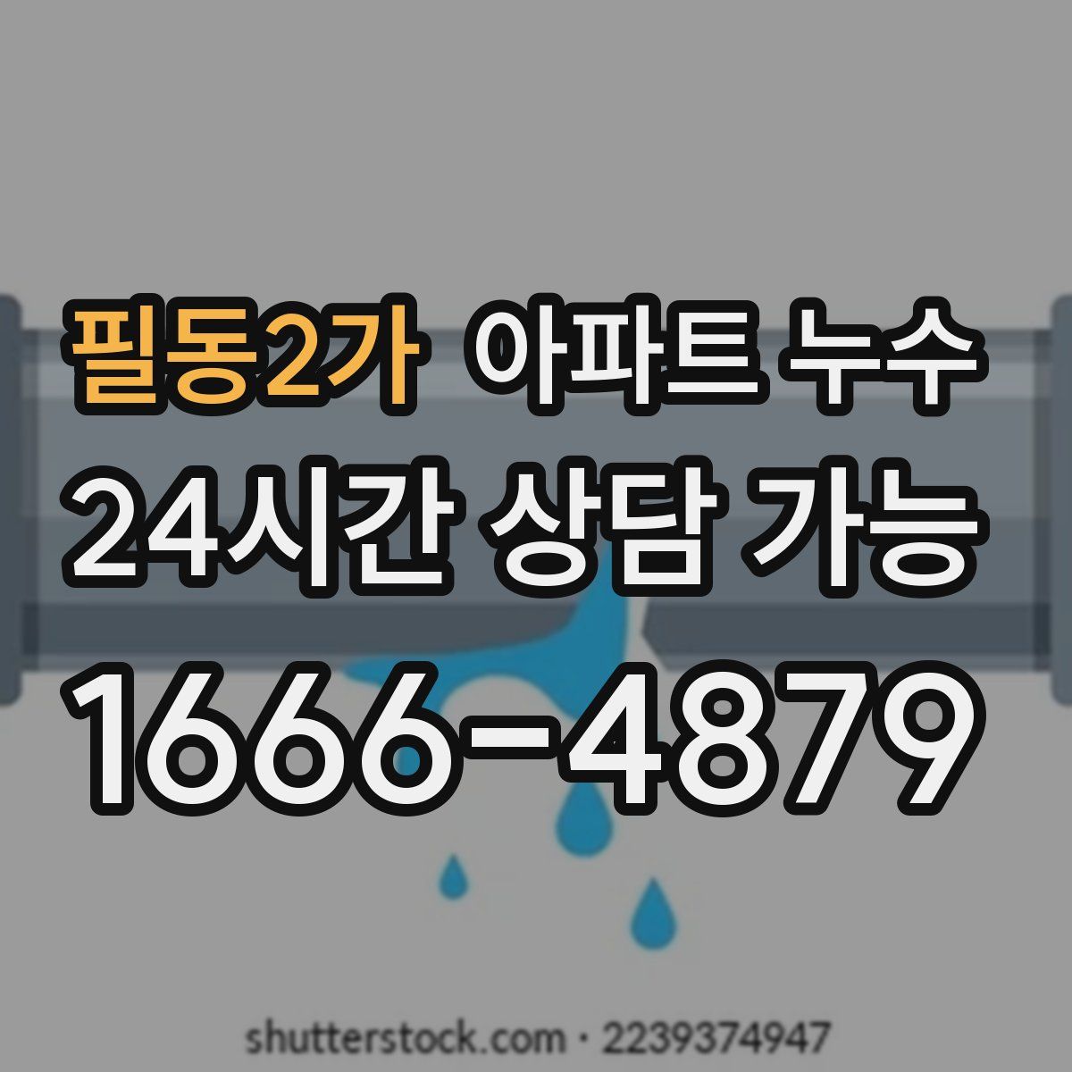 필동2가 아파트 누수탐지