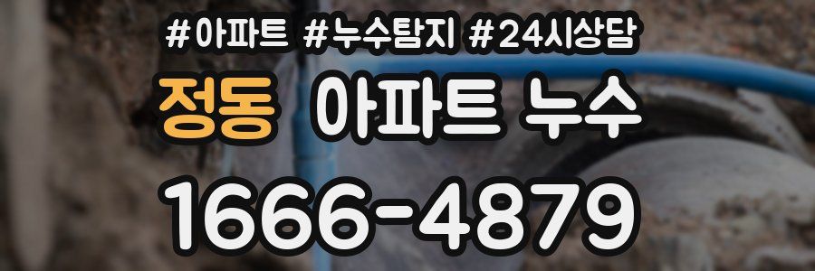 정동 누수탐지