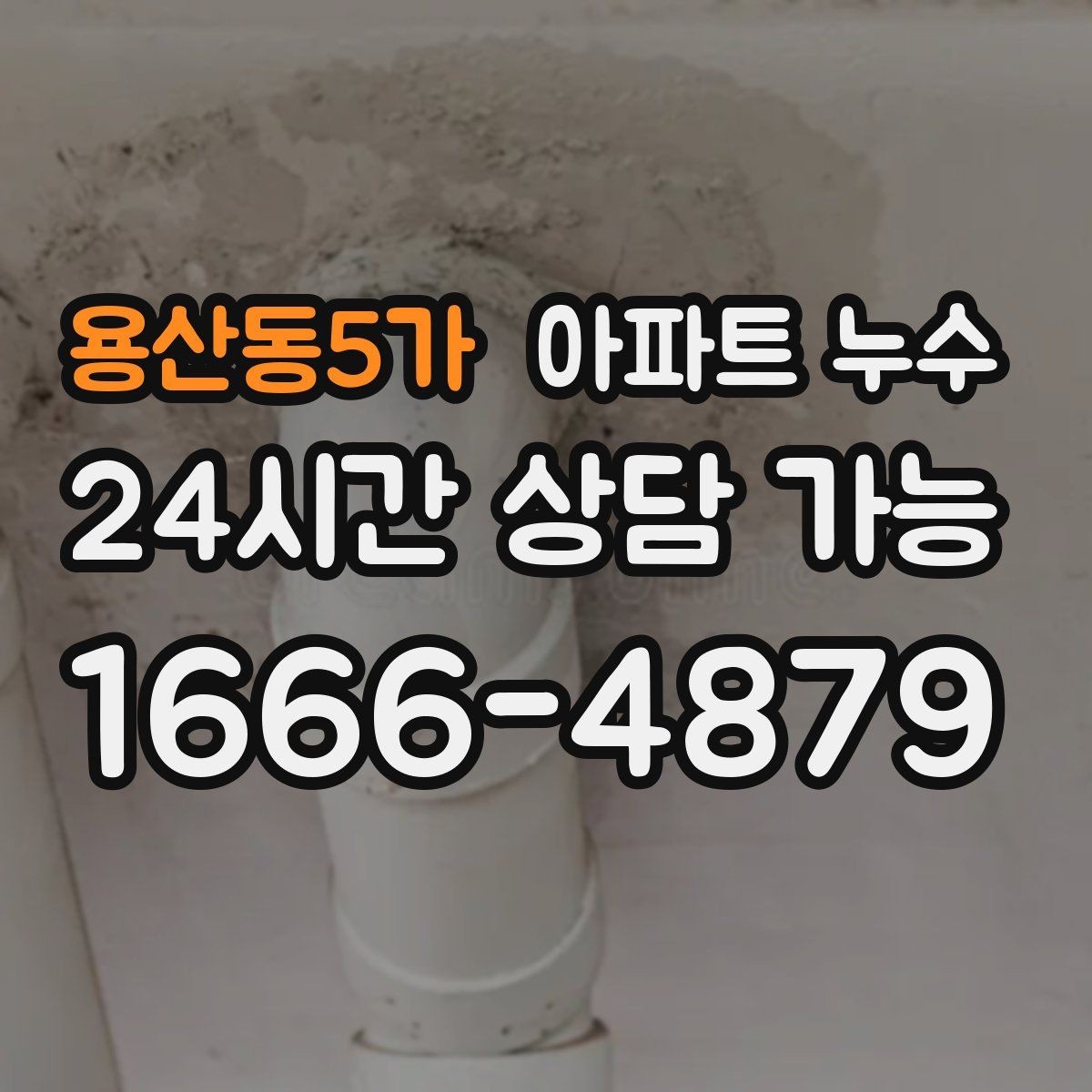 용산동5가 아파트 누수 신발장 주변 습기 방치하면 커지는 이유와 피해 최소화