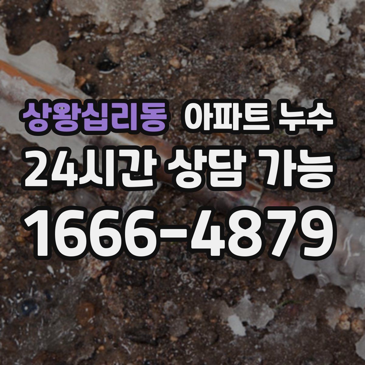 상왕십리동 아파트 누수 천장 얼룩 커지기 전 재발 방지 체크