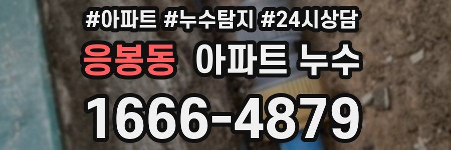 응봉동 누수탐지