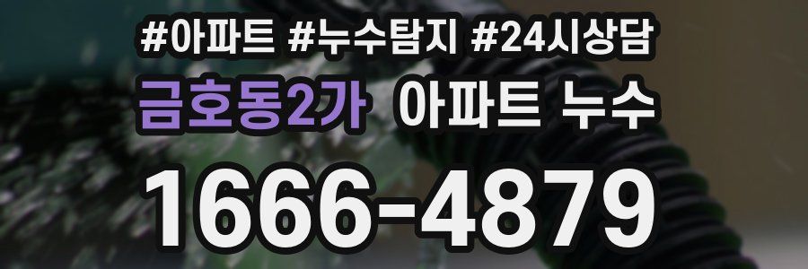 금호동2가 누수탐지