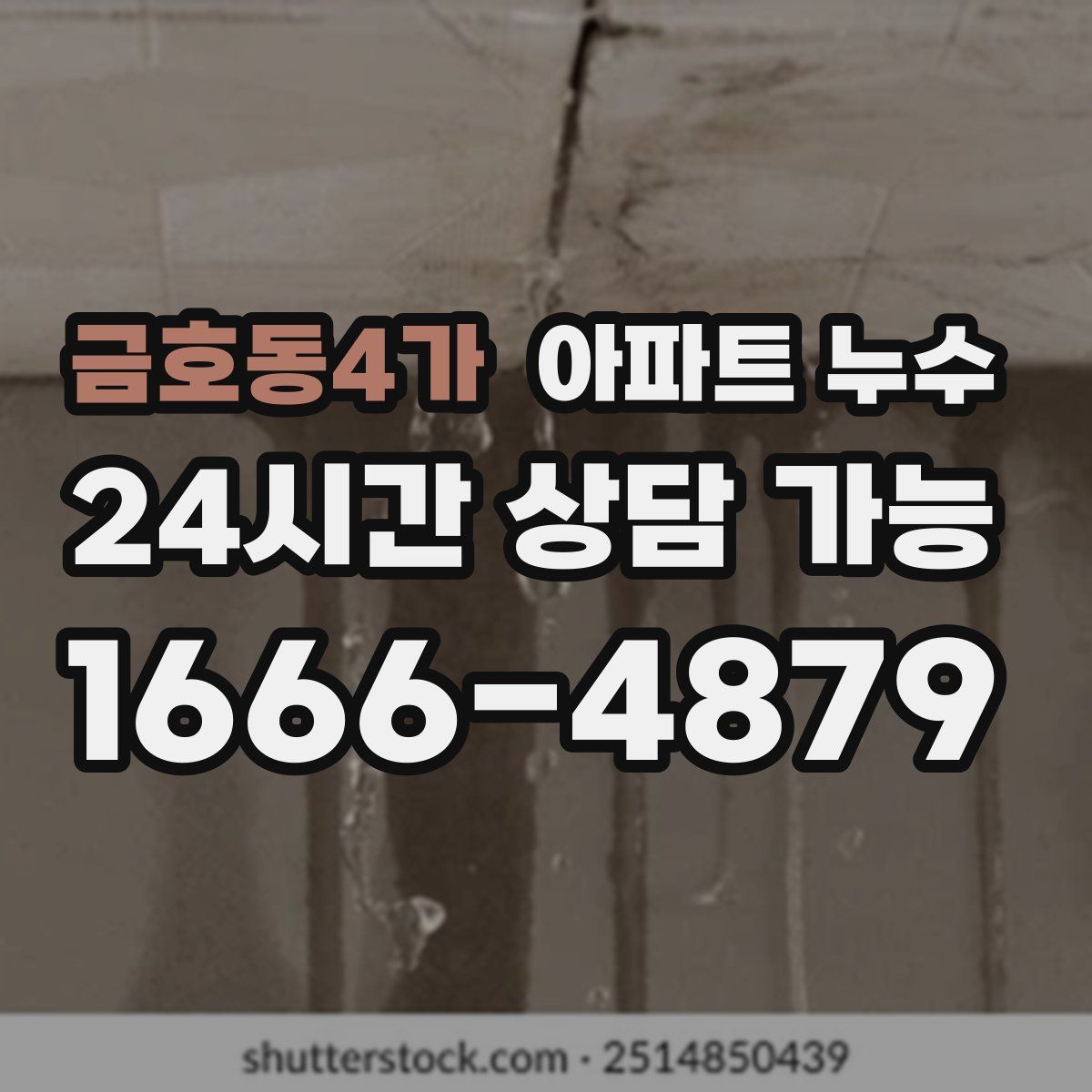 금호동4가 아파트 누수탐지