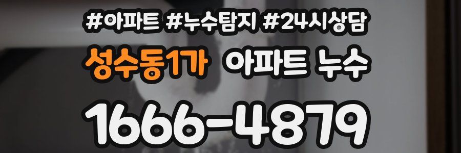 성수동1가 누수탐지