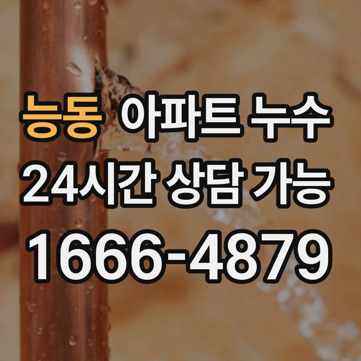 능동 아파트 누수 증상만으로도 점검 방향이 달라집니다