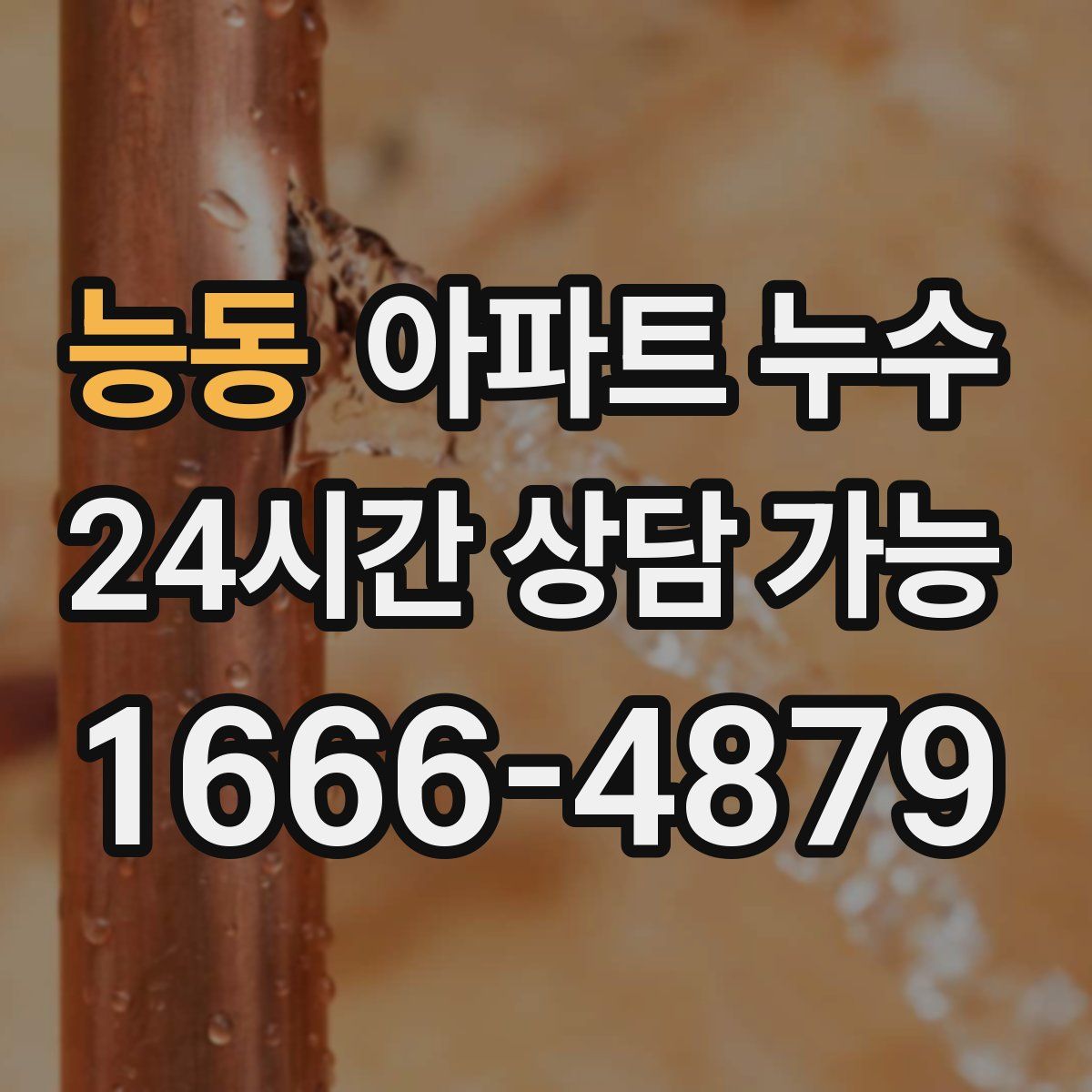 능동 아파트 누수탐지