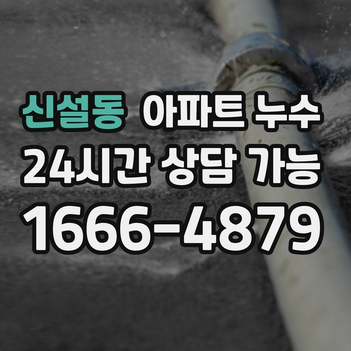 신설동 아파트 누수 변기 주변 바닥이 축축할 때 확인