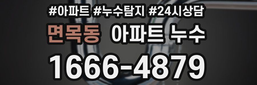 면목동 누수탐지