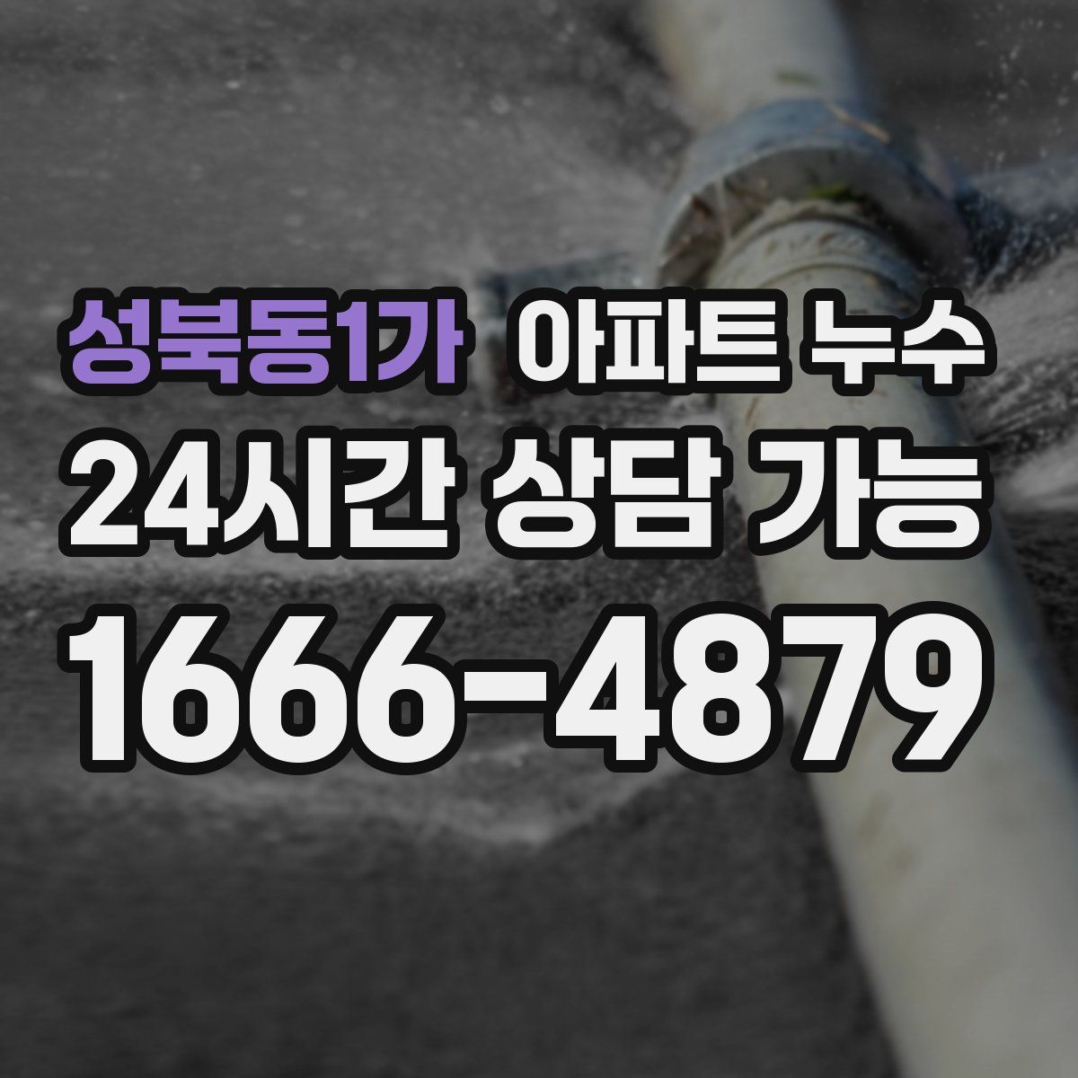 성북동1가 아파트 누수탐지