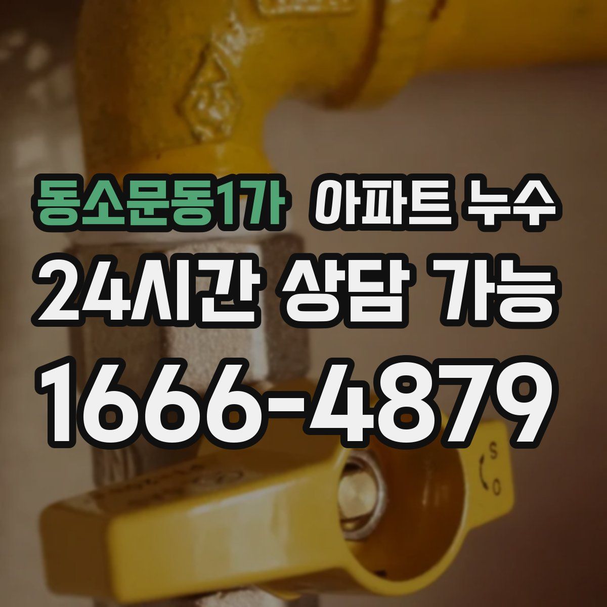 동소문동1가 아파트 누수탐지