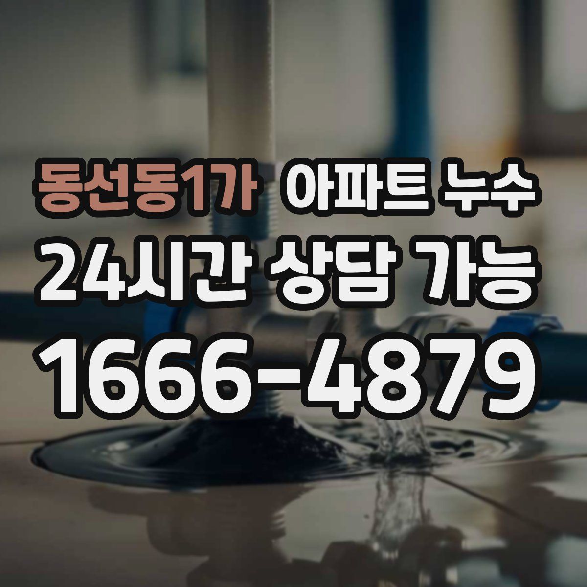 동선동1가 아파트 누수탐지