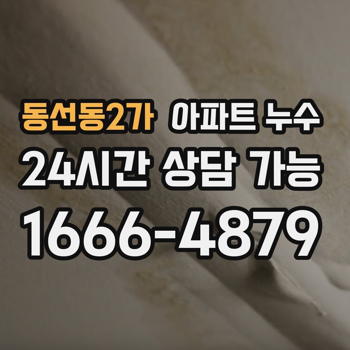 동선동2가 아파트 누수 세탁기 뒤쪽 벽이 젖을 때 점검