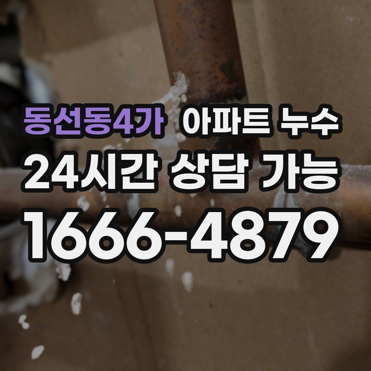 동선동4가 아파트 누수 냉장고 뒤쪽 바닥이 젖는 증상