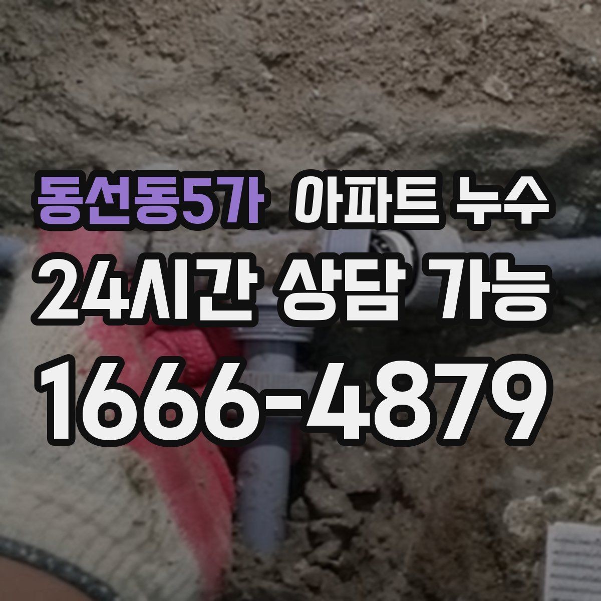 동선동5가 아파트 누수 습한 날 자주 보이는 패턴과 피해 최소화