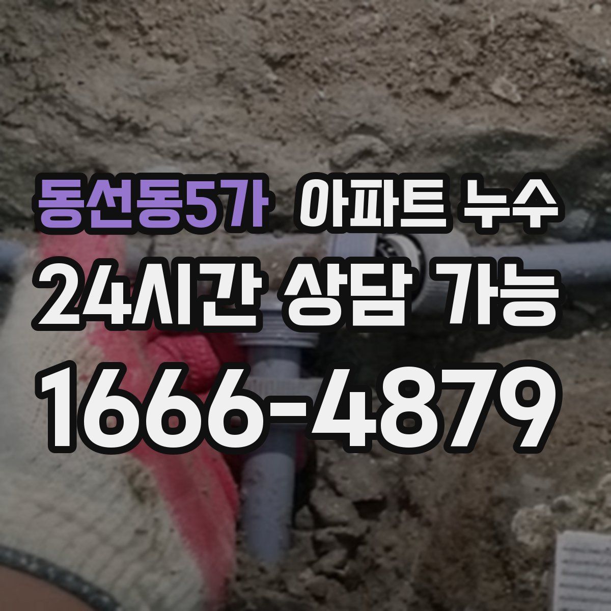 동선동5가 아파트 누수탐지