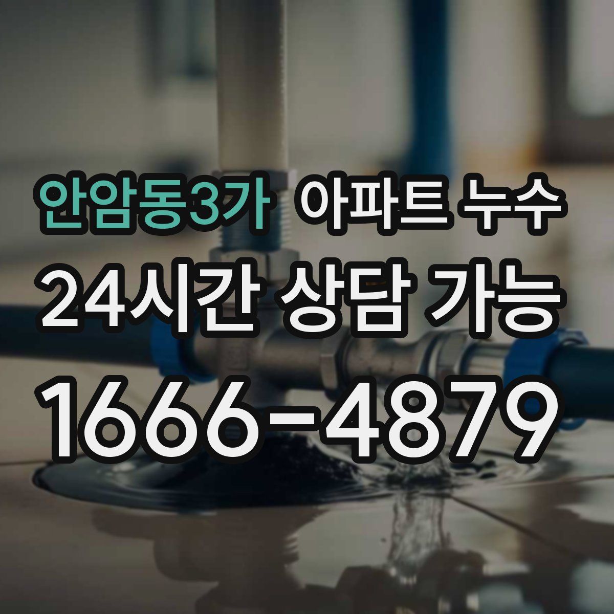 안암동3가 아파트 누수탐지