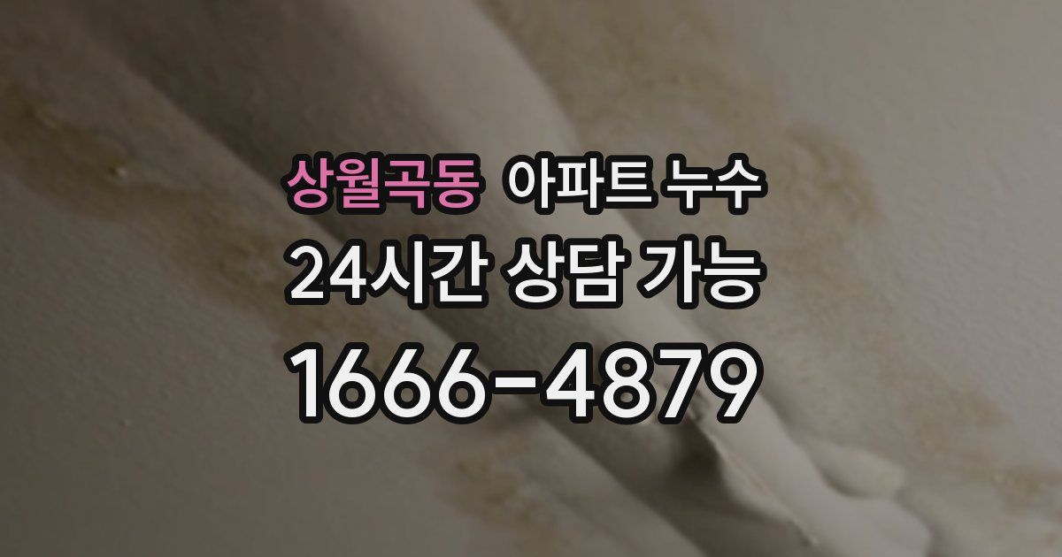 상월곡동 아파트 누수