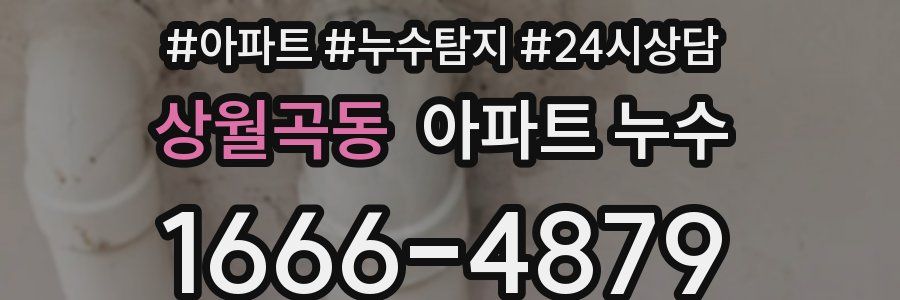 상월곡동 누수탐지