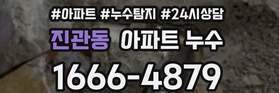 진관동 누수탐지