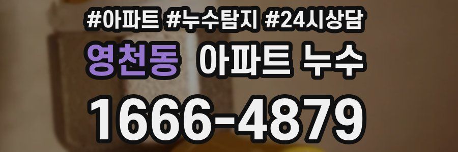 영천동 누수탐지