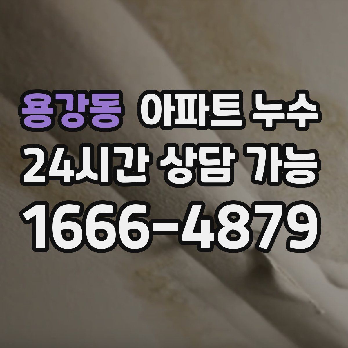 용강동 아파트 누수 마르지 않는 습기의 진짜 원인 찾기